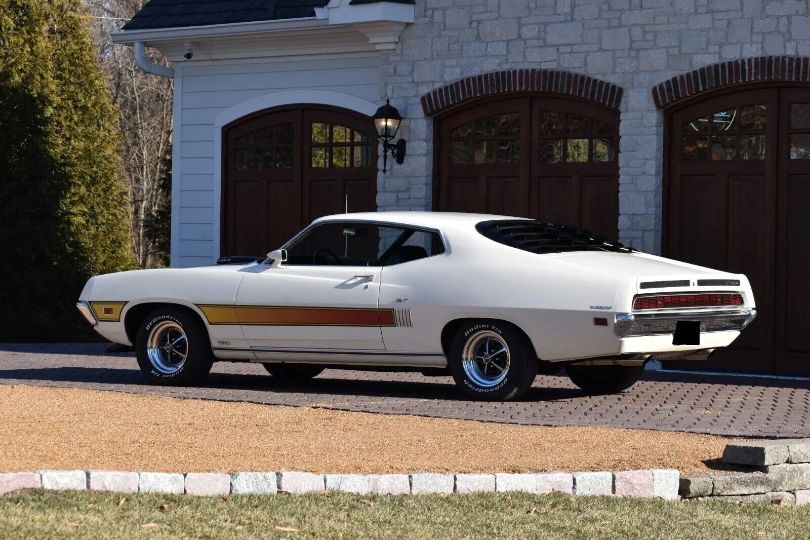 Ford Torino  year1}