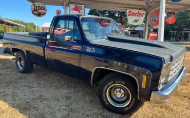 GMC-S15-Pickup-Pickup-1980-Blue-Blue-19867-1