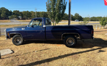 GMC-S15-Pickup-Pickup-1980-Blue-Blue-19867-2