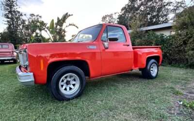 GMC Sierra 1500 1974 à vendre