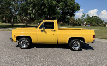 GMC-Sierra-1500-1979-Yellow-Blue-140324-1