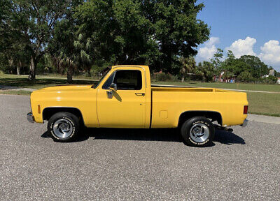 GMC-Sierra-1500-1979-Yellow-Blue-140324-1