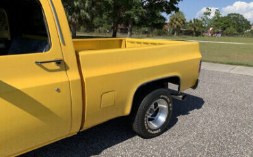 GMC-Sierra-1500-1979-Yellow-Blue-140324-20