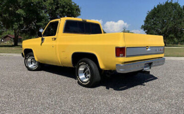 GMC-Sierra-1500-1979-Yellow-Blue-140324-22