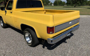 GMC-Sierra-1500-1979-Yellow-Blue-140324-23