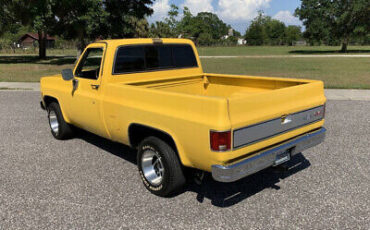 GMC-Sierra-1500-1979-Yellow-Blue-140324-3