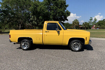 GMC-Sierra-1500-1979-Yellow-Blue-140324-4