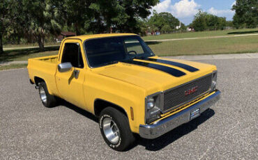 GMC-Sierra-1500-1979-Yellow-Blue-140324-5