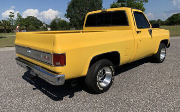 GMC-Sierra-1500-1979-Yellow-Blue-140324-6