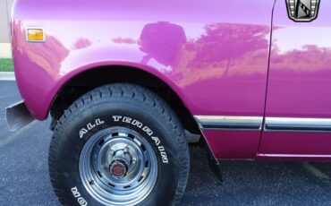 International-Harvester-Scout-Pickup-1979-Purple-Black-43365-10