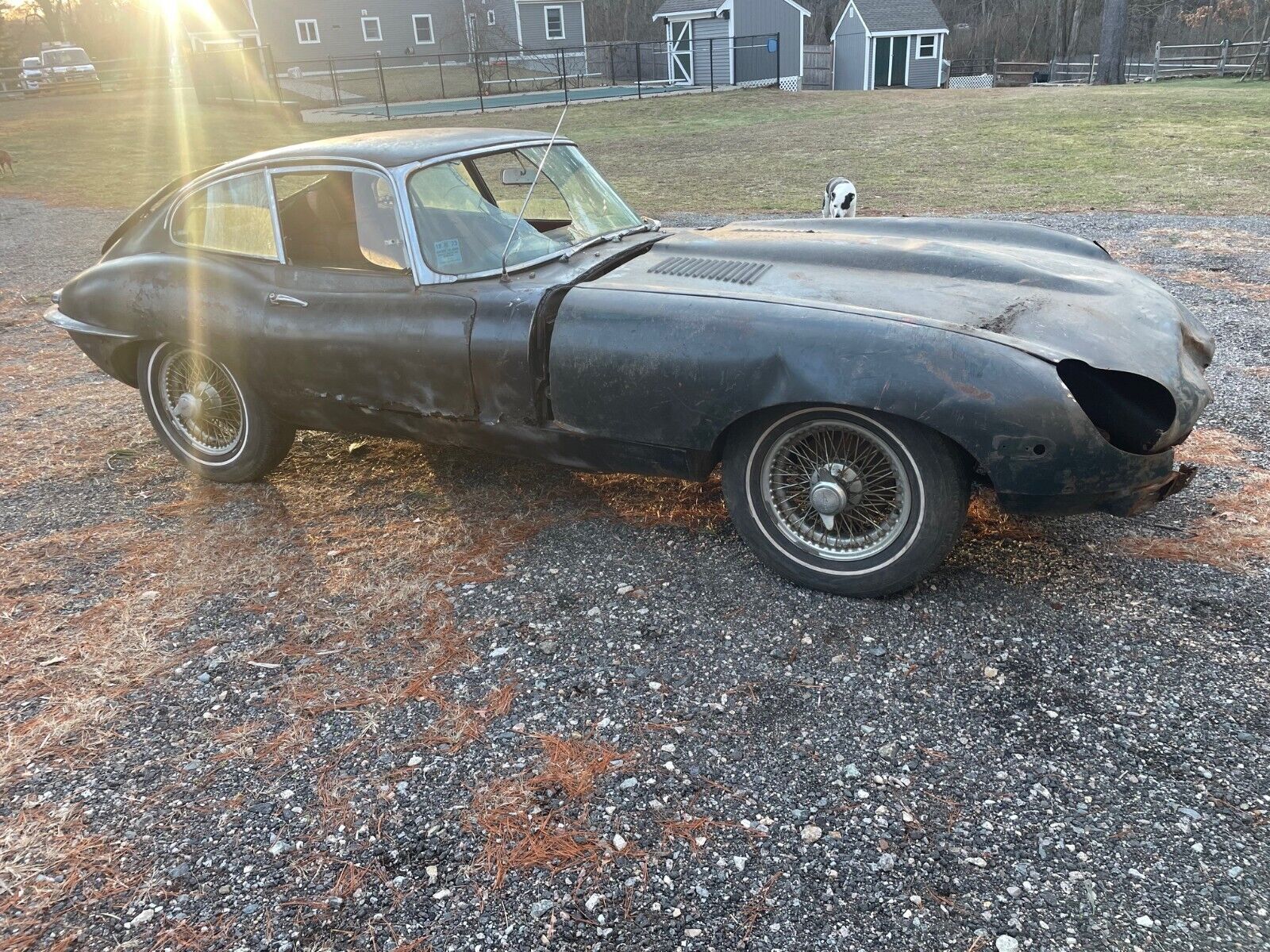 Jaguar-E-Type-Coupe-1965-1