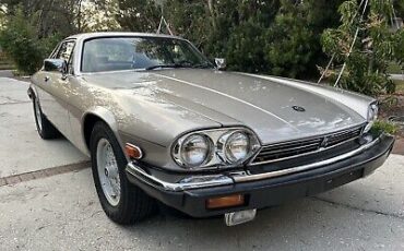 Jaguar-XJS-1989-Brown-91250-1