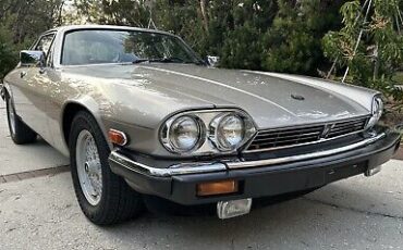 Jaguar-XJS-1989-Brown-91250-3