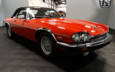 Jaguar-XJS-1991-Red-Tan-64470-9