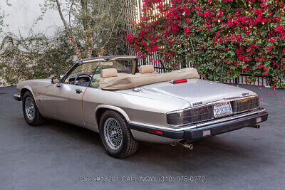 Jaguar-XJS-Convertible-1992-6