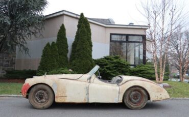 Jaguar-XK-1952-3