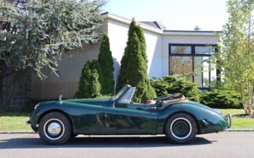 Jaguar-XK-1953-Green-Tan-0-3