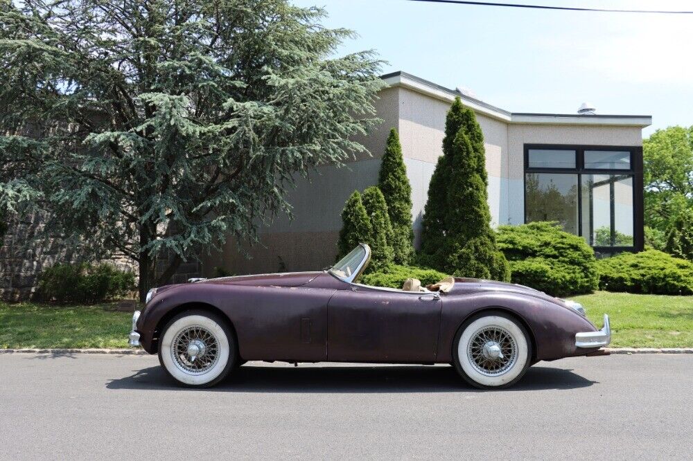 Jaguar-XK-1960-Burgundy-Tan-0-3