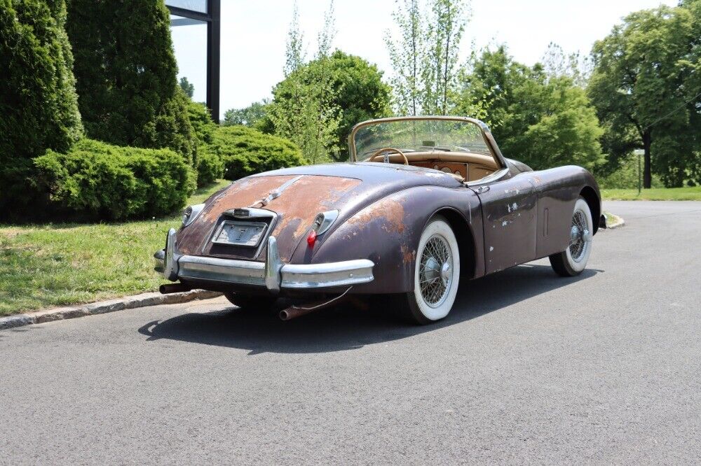 Jaguar-XK-1960-Burgundy-Tan-0-5