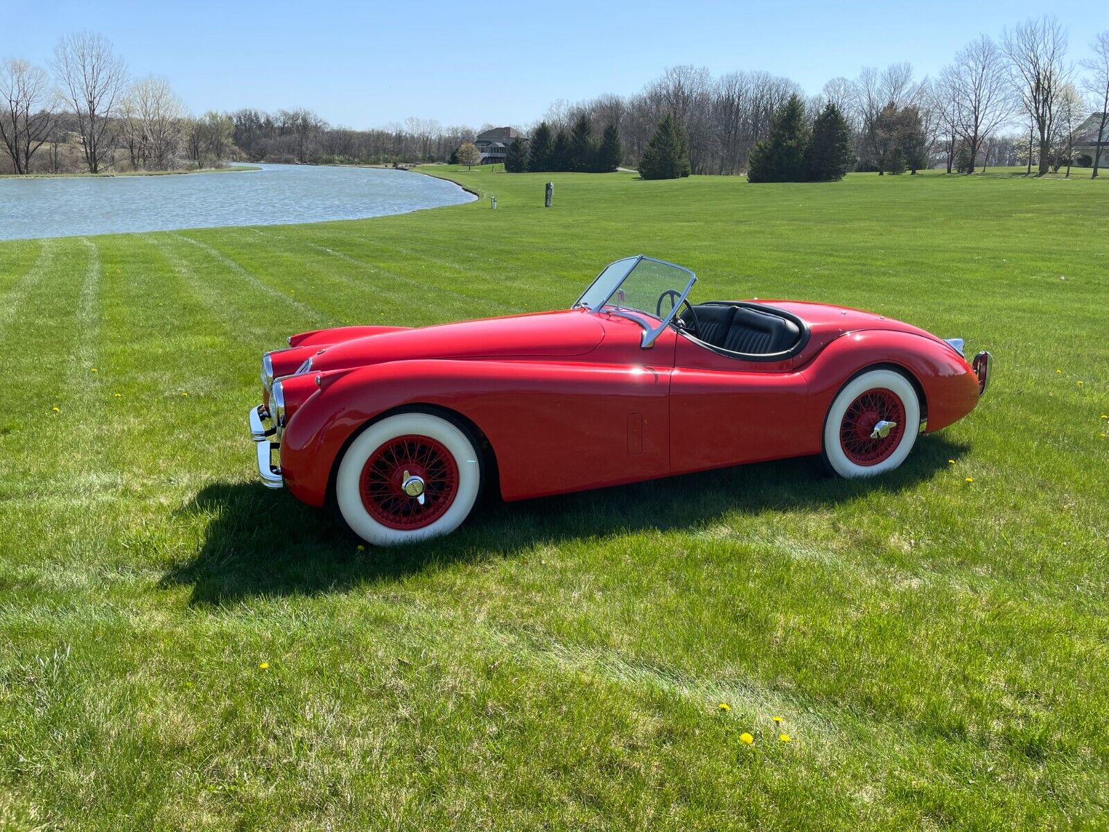 Jaguar XK Cabriolet 1954 à vendre