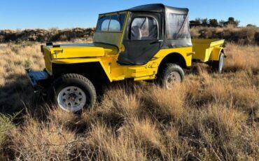 Jeep-1945-yellow-2253-1