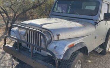 Jeep-1981-grey-144841-2