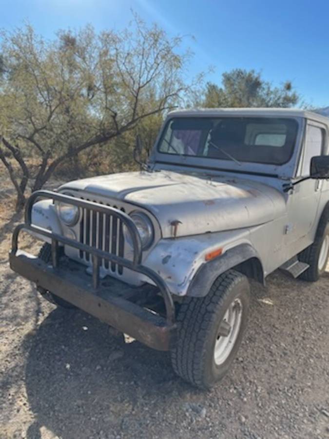 Jeep-1981-grey-144841-2