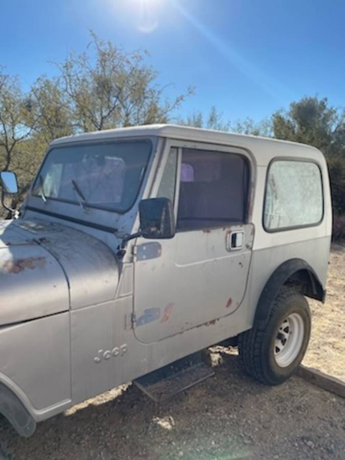 Jeep-1981-grey-144841-3