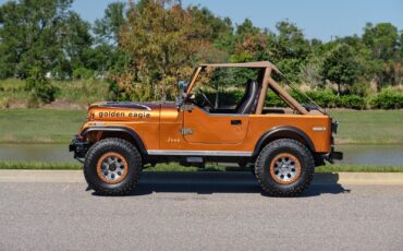 Jeep-CJ-1979-Copper-Tan-33505-1