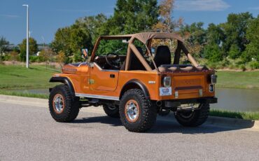 Jeep-CJ-1979-Copper-Tan-33505-3