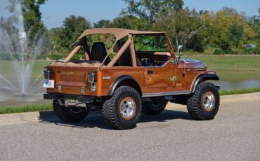 Jeep-CJ-1979-Copper-Tan-33505-5