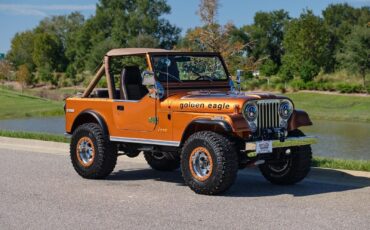 Jeep-CJ-1979-Copper-Tan-33505-8