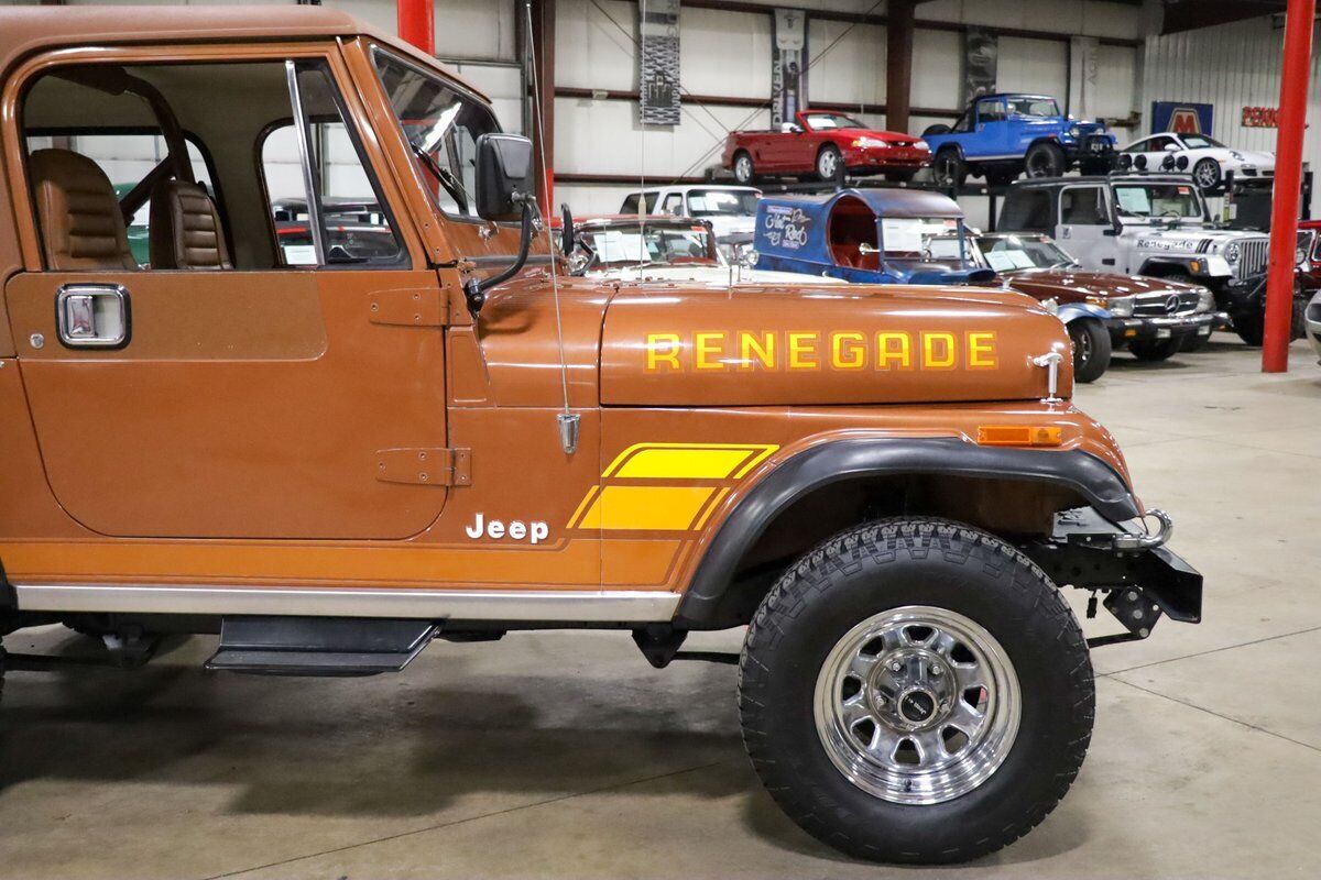 Jeep-CJ-1983-Brown-Brown-228813-10