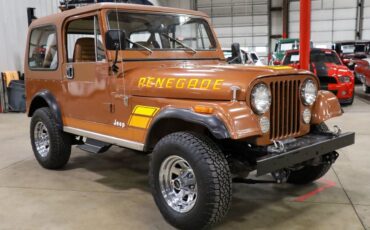 Jeep-CJ-1983-Brown-Brown-228813-11