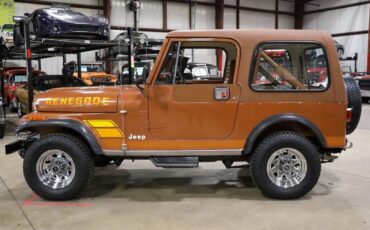 Jeep-CJ-1983-Brown-Brown-228813-3