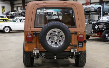 Jeep-CJ-1983-Brown-Brown-228813-6