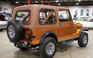 Jeep-CJ-1983-Brown-Brown-228813-7