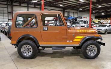 Jeep-CJ-1983-Brown-Brown-228813-9