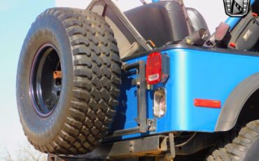 Jeep-CJ-Cabriolet-1979-Blue-Black-98986-10