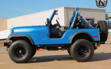 Jeep-CJ-Cabriolet-1979-Blue-Black-98986-4