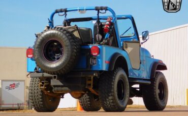 Jeep-CJ-Cabriolet-1979-Blue-Black-98986-6