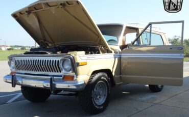 Jeep-Cherokee-Cabriolet-1977-Brown-Brown-154217-11