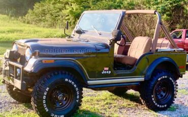 Jeep-Cj-5-1977-brown-101833-1