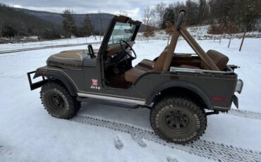 Jeep-Cj-5-1977-brown-101833-4