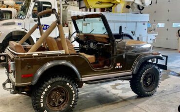 Jeep-Cj-5-1977-brown-101833-6