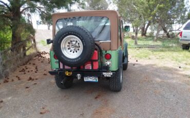 Jeep-Cj5-1976-2