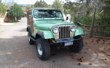 Jeep-Cj5-1976-5