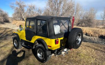 Jeep-Cj5-1976-yellow-160934-2