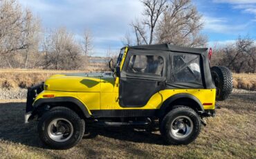 Jeep-Cj5-1976-yellow-160934