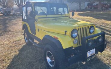 Jeep-Cj5-1976-yellow-160934-4